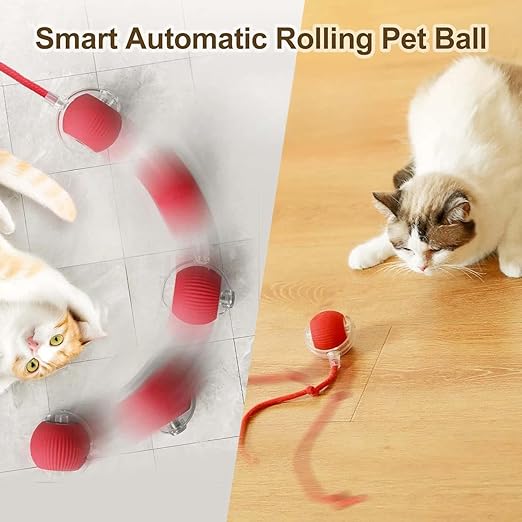 CAT TEASING ROLLING BALL