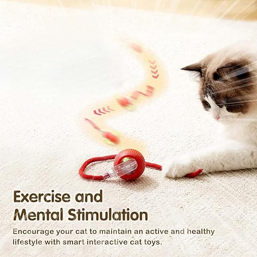 CAT TEASING ROLLING BALL