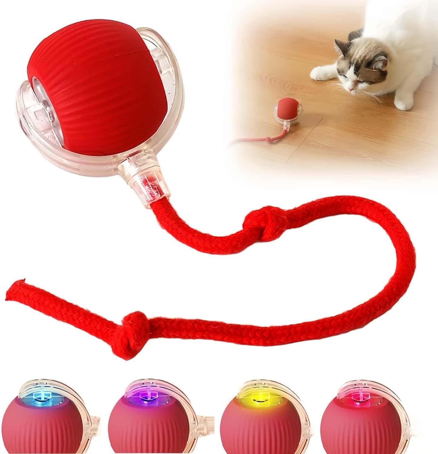 CAT TEASING ROLLING BALL